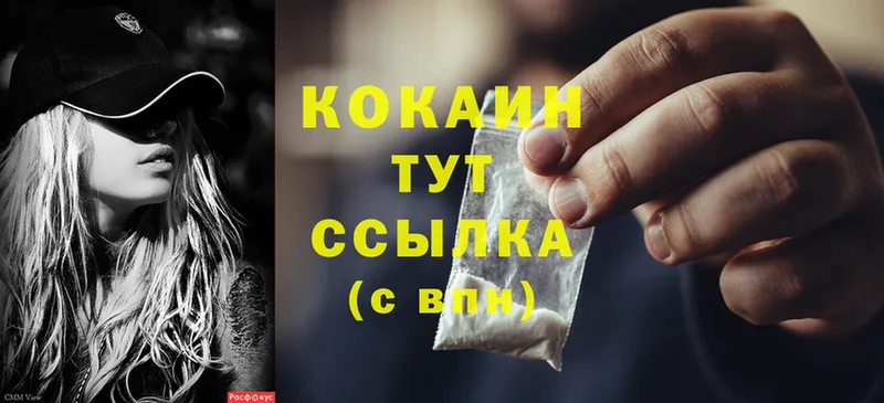 Cocaine FishScale  купить наркотики сайты  нарко площадка клад  Кандалакша 